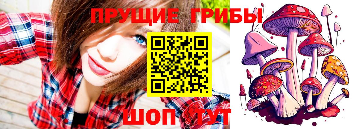 Кисловодск  Псилоцибиновые грибы MAGIC MUSHROOMS  Вход с VPN 