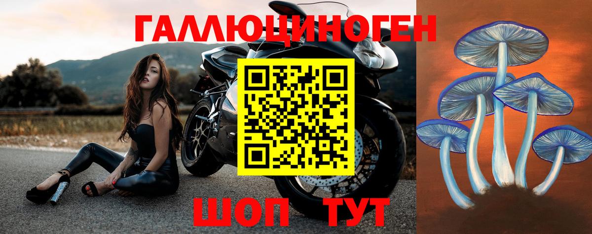 Псилоцибиновые грибы GOLDEN TEACHER Кисловодск